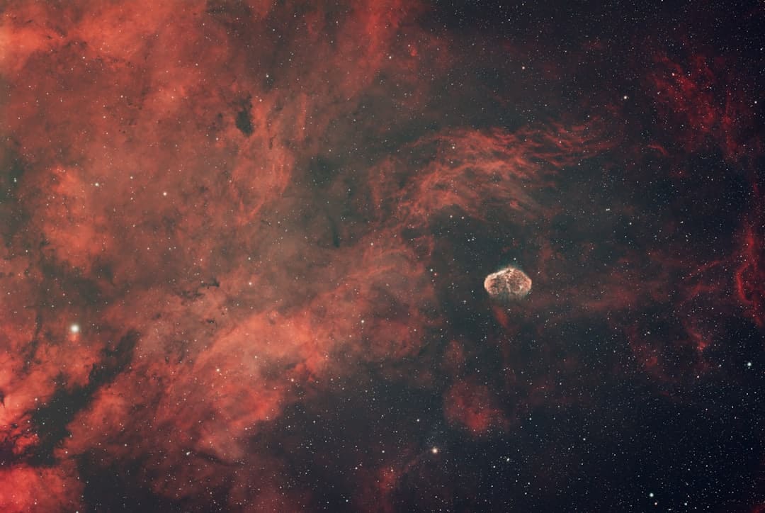 《星期三》第二季发布宣传照 哥特宗族全家福